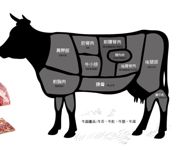 蛋白质量表（肉类篇-牛肉）