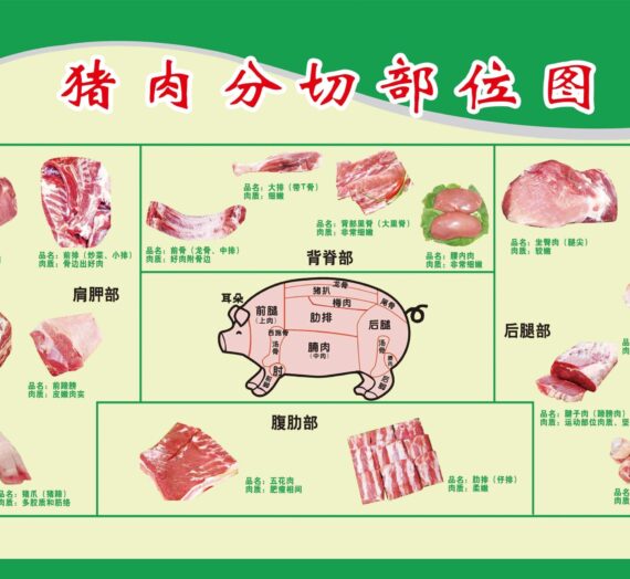 蛋白质量表（肉类篇-猪肉）
